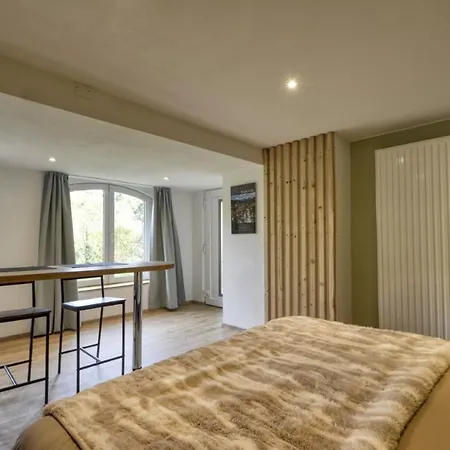 Apartment Lumineux En Rez-de-jardin Situe Sur La Route Des Vins D'alsace