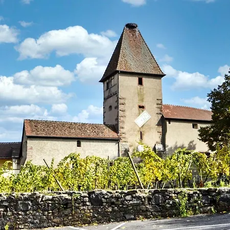 Lumineux En Rez-de-jardin Situe Sur La Route Des Vins D'alsace Apartment