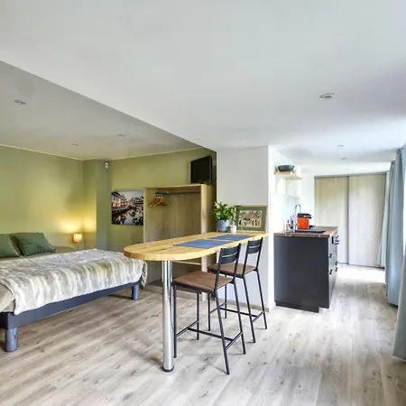 Lumineux En Rez-de-jardin Situe Sur La Route Des Vins D'alsace Apartment Ammerschwihr