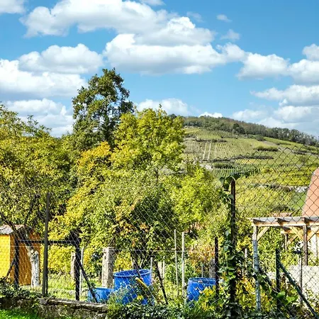 Lumineux En Rez-de-jardin Situe Sur La Route Des Vins D'alsace Ammerschwihr
